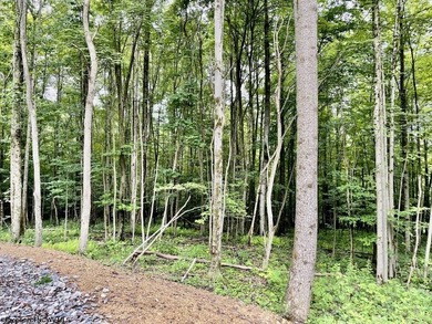 Beautiful, wooded building lot in the city limits of Kingwood - photo 5