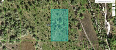 Reedy Lake Lot For Sale in Frostproof Florida