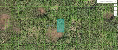 Reedy Lake Lot For Sale in Frostproof Florida