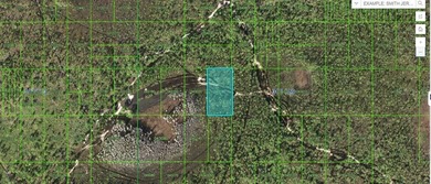 Reedy Lake Lot For Sale in Frostproof Florida