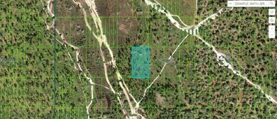 Reedy Lake Lot For Sale in Frostproof Florida