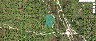 Reedy Lake Lot For Sale in Frostproof Florida