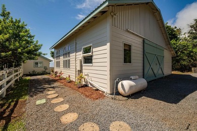 The road up to 21 Hulumanu Place winds along a dramatic - photo 38