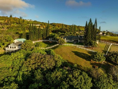 The road up to 21 Hulumanu Place winds along a dramatic - photo 39