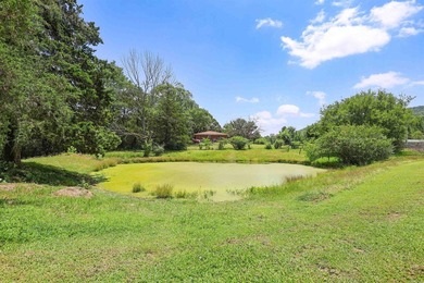 Classic brick home with room to spread out! Situated on - photo 43