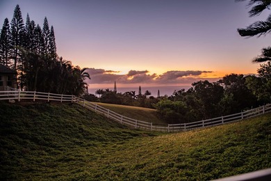 The road up to 21 Hulumanu Place winds along a dramatic - photo 44