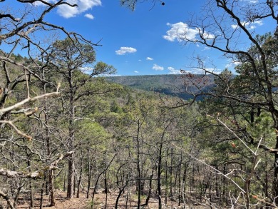 Sardis Lake Acreage For Sale in Clayton Oklahoma