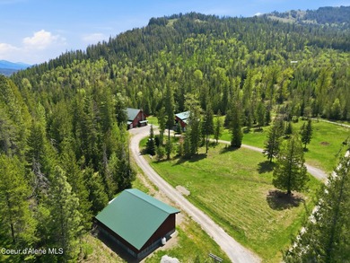 Escape to this mountain sanctuary located in Sagle, Idaho. This - photo 8
