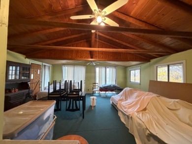 JUST REDUCED! Big BLUE Needs YOU!! - photo 16