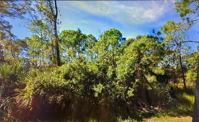 Lake Marion - Polk County Lot For Sale in Kissimmee Florida