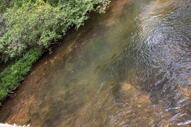 There is a Hidden Valley only 2 hours north of Atlanta where - photo 11