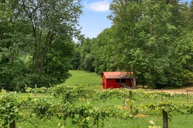 There is a Hidden Valley only 2 hours north of Atlanta where - photo 13