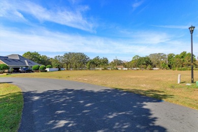 Myrtle Lake Lot Sale Pending in Fruitland Park Florida