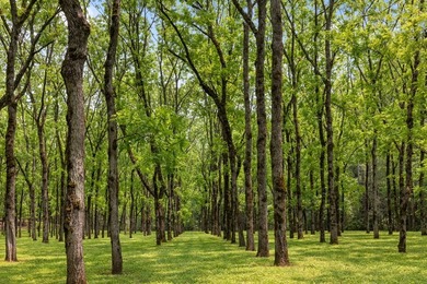 There is a Hidden Valley only 2 hours north of Atlanta where - photo 25