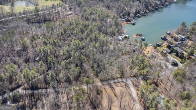Here is your chance to own one of the largest fee-simple lots on - photo 36