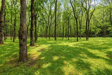 There is a Hidden Valley only 2 hours north of Atlanta where - photo 41