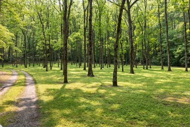 There is a Hidden Valley only 2 hours north of Atlanta where - photo 43