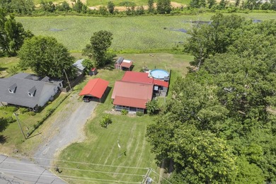 Lake Conway living meets everyday comfort at 16 Dam Rd in - photo 45