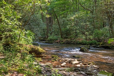 There is a Hidden Valley only 2 hours north of Atlanta where - photo 50
