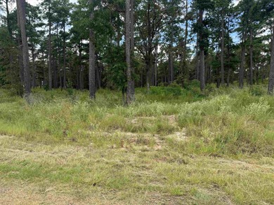 Lake Sam Rayburn  Lot For Sale in Brookeland Texas