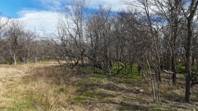 2.36 Acres in Waterfront Club - photo 24