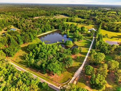 Experience the perfect blend of peaceful country living and - photo 43