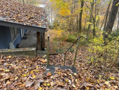 JUST REDUCED! Big BLUE Needs YOU!! - photo 3