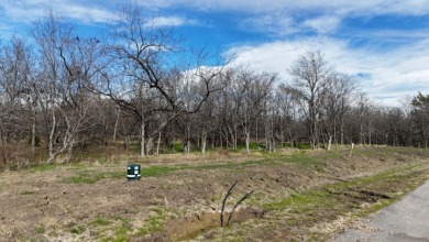 2.36 Acres in Waterfront Club - photo 16