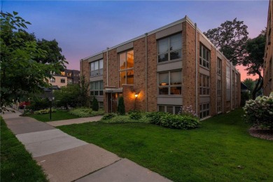 Lake Condo For Sale in Minneapolis, Minnesota