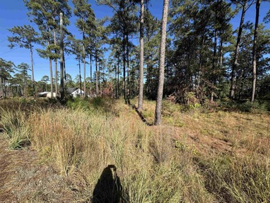 Lake Sam Rayburn  Lot For Sale in Brookeland Texas
