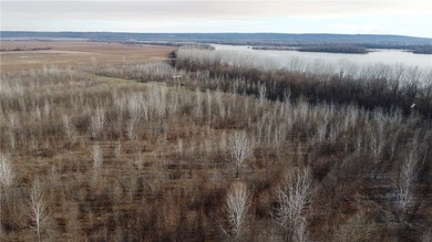 This diverse WRP tract along the Arkansas River is ready for new - photo 12