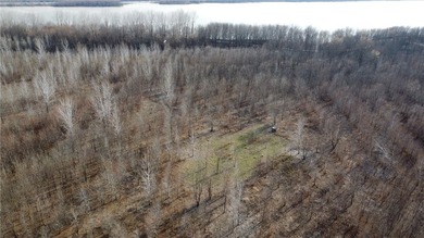 This diverse WRP tract along the Arkansas River is ready for new - photo 13