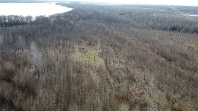 This diverse WRP tract along the Arkansas River is ready for new - photo 14