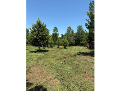This diverse WRP tract along the Arkansas River is ready for new - photo 15