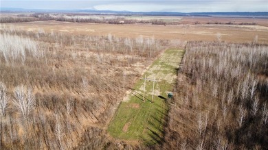 This diverse WRP tract along the Arkansas River is ready for new - photo 18