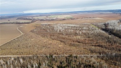 This diverse WRP tract along the Arkansas River is ready for new - photo 19