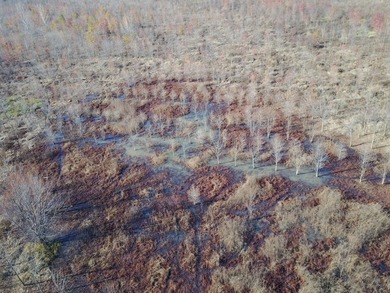 This diverse WRP tract along the Arkansas River is ready for new - photo 20