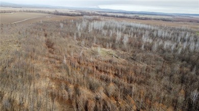 This diverse WRP tract along the Arkansas River is ready for new - photo 21