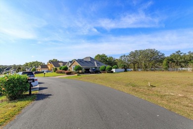 Myrtle Lake Lot Sale Pending in Fruitland Park Florida