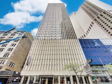 Lake Michigan - Cook County Condo For Sale in Chicago Illinois