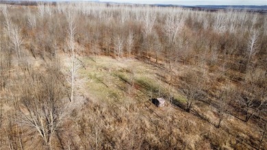 This diverse WRP tract along the Arkansas River is ready for new - photo 22