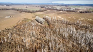 This diverse WRP tract along the Arkansas River is ready for new - photo 23