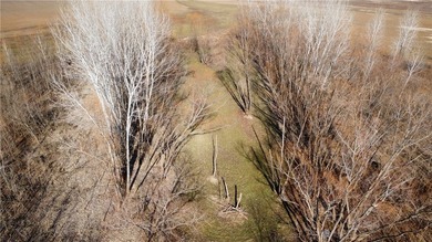 This diverse WRP tract along the Arkansas River is ready for new - photo 25