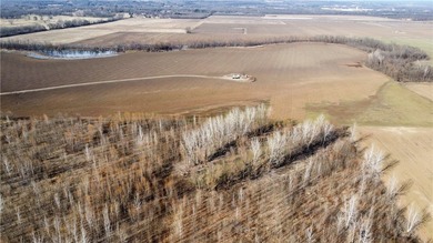 This diverse WRP tract along the Arkansas River is ready for new - photo 27