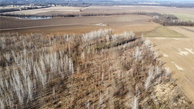 This diverse WRP tract along the Arkansas River is ready for new - photo 28