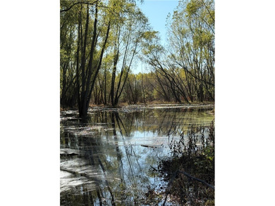 This diverse WRP tract along the Arkansas River is ready for new - photo 31