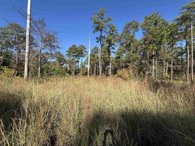 Lake Sam Rayburn  Lot For Sale in Brookeland Texas