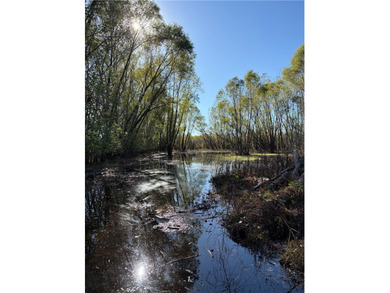 This diverse WRP tract along the Arkansas River is ready for new - photo 32