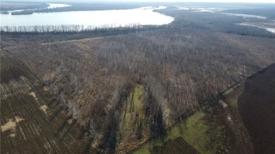 This diverse WRP tract along the Arkansas River is ready for new - photo 33