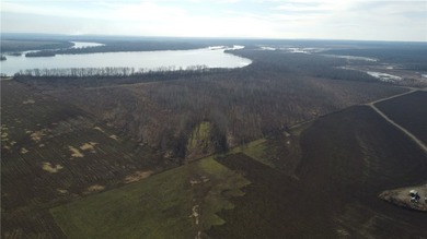 This diverse WRP tract along the Arkansas River is ready for new - photo 34